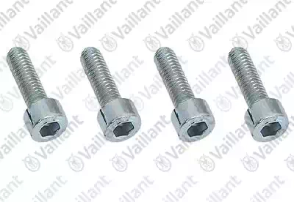 Винт для Vaillant