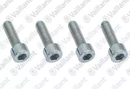 Винт для Vaillant
